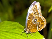 /album/fotogalerie-priroda/m1-web-jpg/