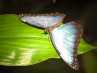 /album/fotogalerie-priroda/m003-web-jpg/