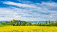 /album/fotogalerie/a101-web-jpg/